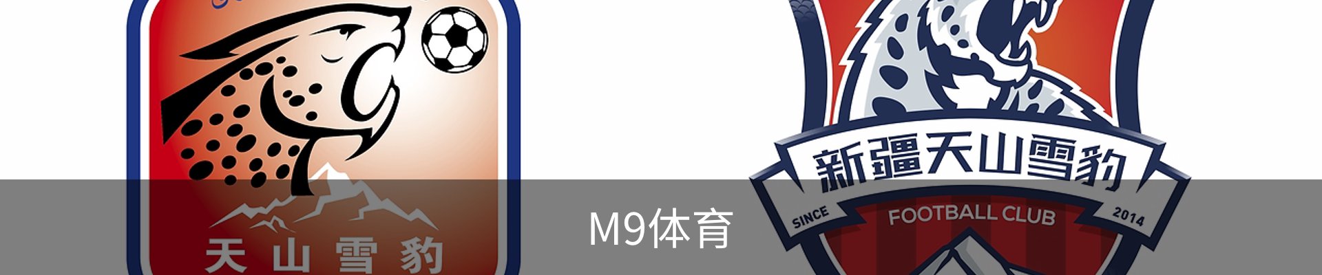 M9体育